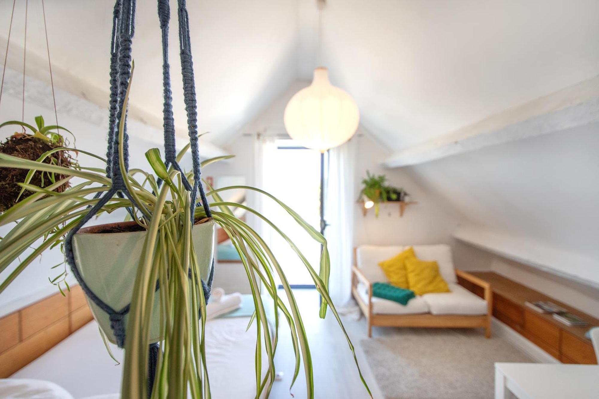 Pompeu Art Nouveau Apartment アヴェイロ エクステリア 写真